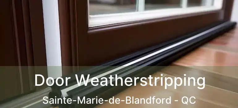  Door Weatherstripping Sainte-Marie-de-Blandford - QC