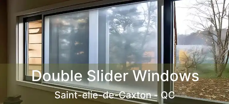  Double Slider Windows Saint-elie-de-Caxton - QC
