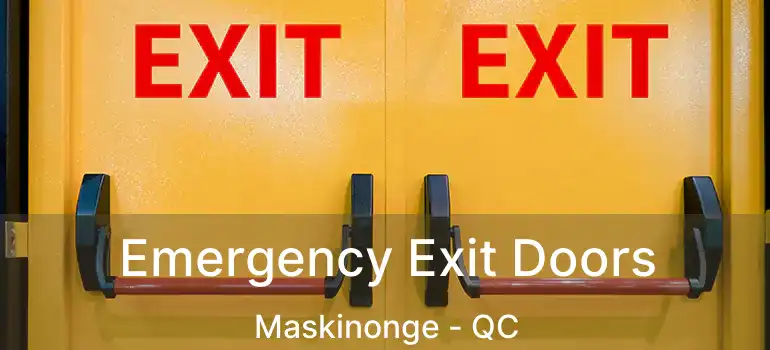  Emergency Exit Doors Maskinonge - QC