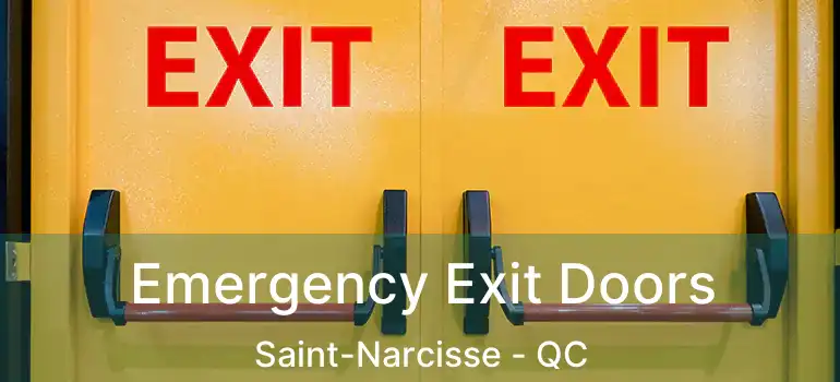  Emergency Exit Doors Saint-Narcisse - QC
