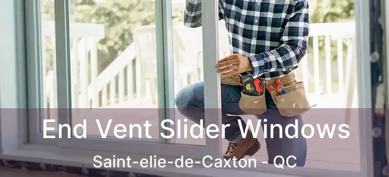  End Vent Slider Windows Saint-elie-de-Caxton - QC