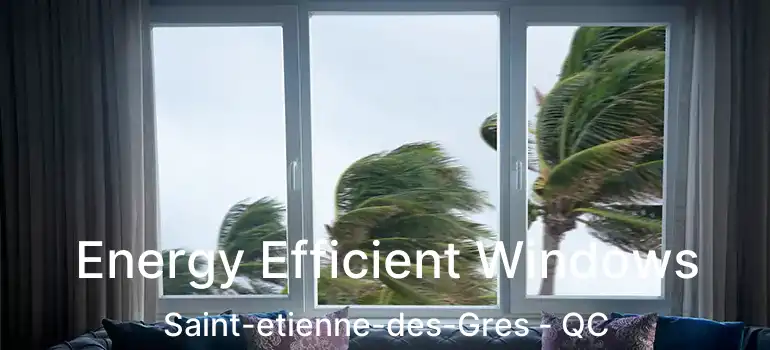  Energy Efficient Windows Saint-etienne-des-Gres - QC