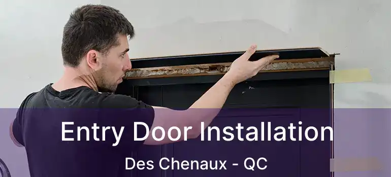  Entry Door Installation Des Chenaux - QC