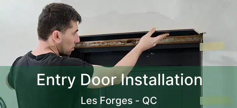  Entry Door Installation Les Forges - QC