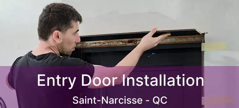  Entry Door Installation Saint-Narcisse - QC