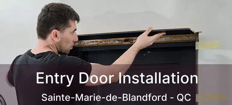  Entry Door Installation Sainte-Marie-de-Blandford - QC