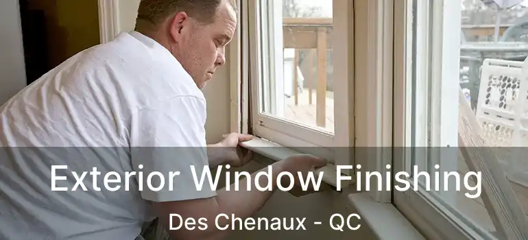  Exterior Window Finishing Des Chenaux - QC