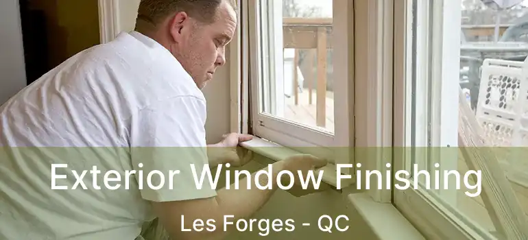  Exterior Window Finishing Les Forges - QC