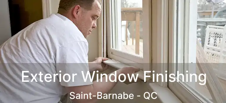  Exterior Window Finishing Saint-Barnabe - QC