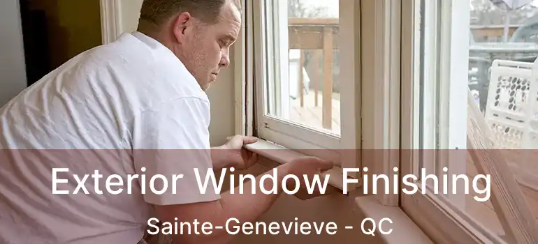  Exterior Window Finishing Sainte-Genevieve - QC