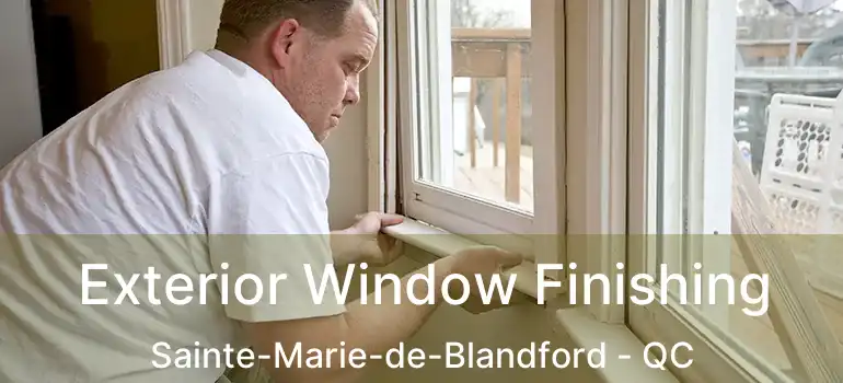  Exterior Window Finishing Sainte-Marie-de-Blandford - QC