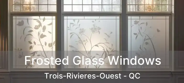  Frosted Glass Windows Trois-Rivieres-Ouest - QC