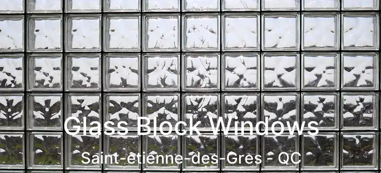  Glass Block Windows Saint-etienne-des-Gres - QC