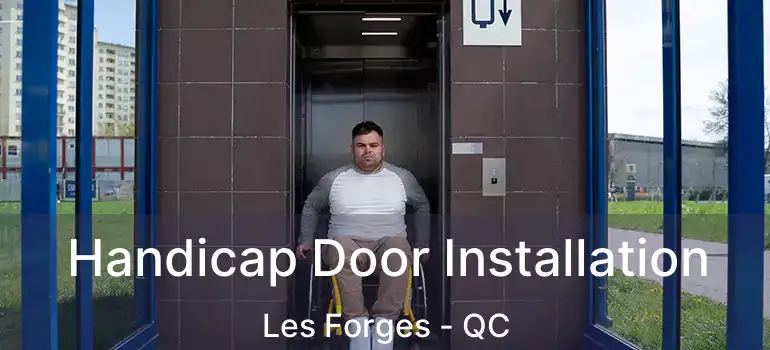  Handicap Door Installation Les Forges - QC