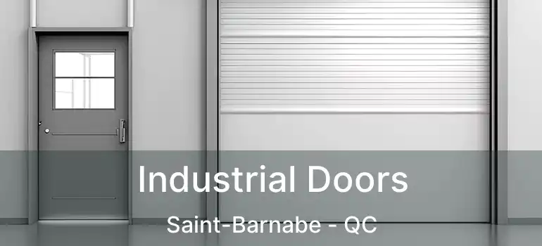  Industrial Doors Saint-Barnabe - QC