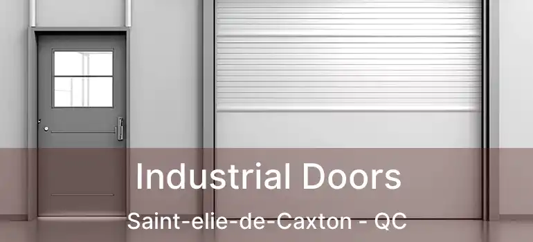  Industrial Doors Saint-elie-de-Caxton - QC