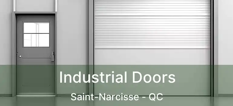  Industrial Doors Saint-Narcisse - QC