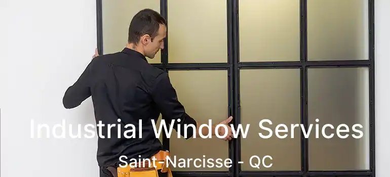  Industrial Window Services Saint-Narcisse - QC