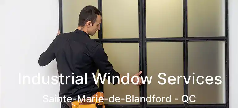  Industrial Window Services Sainte-Marie-de-Blandford - QC