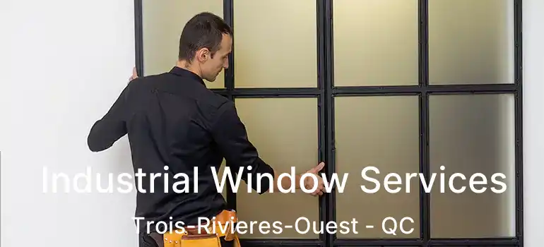  Industrial Window Services Trois-Rivieres-Ouest - QC