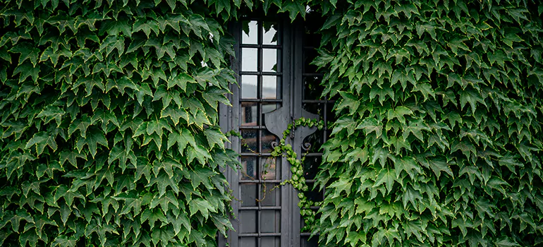 Garden Gate Repair in Trois-Rivieres, QC