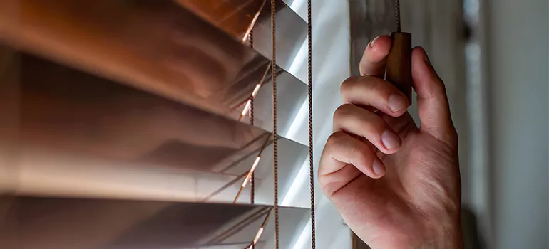 Double Roller Blinds in Saint-Barnabe, Quebec