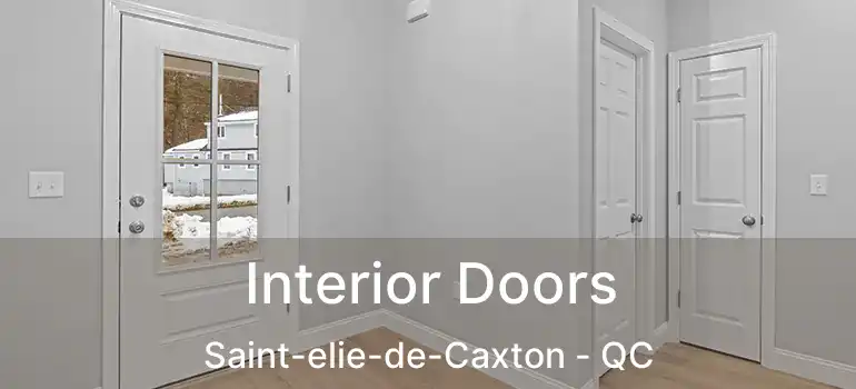  Interior Doors Saint-elie-de-Caxton - QC