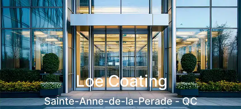  Loe Coating Sainte-Anne-de-la-Perade - QC