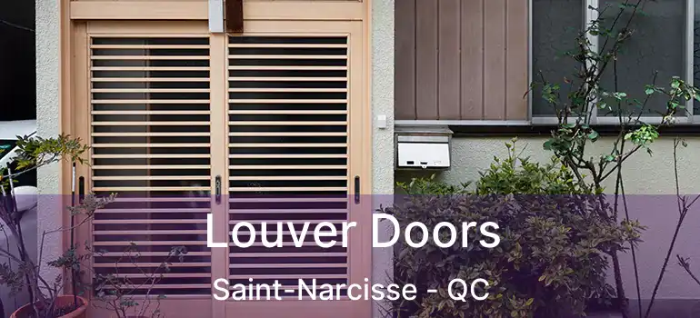  Louver Doors Saint-Narcisse - QC