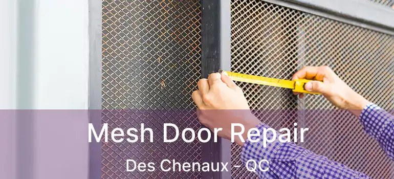  Mesh Door Repair Des Chenaux - QC