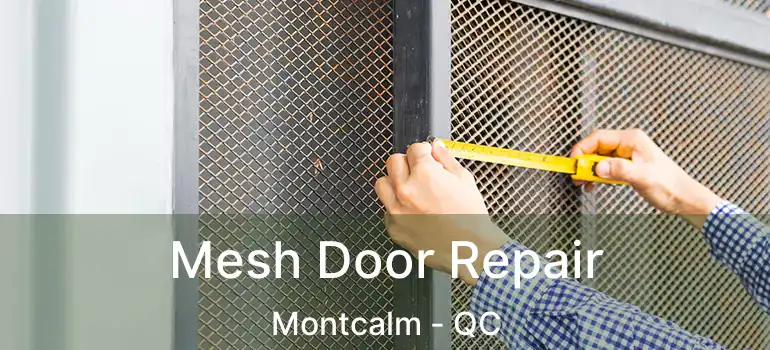  Mesh Door Repair Montcalm - QC