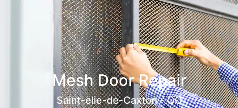  Mesh Door Repair Saint-elie-de-Caxton - QC