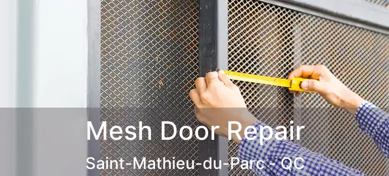  Mesh Door Repair Saint-Mathieu-du-Parc - QC