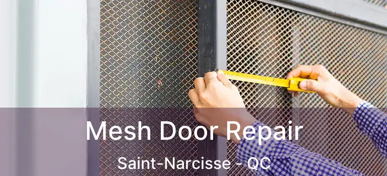  Mesh Door Repair Saint-Narcisse - QC