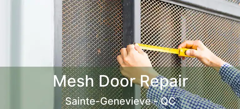 Mesh Door Repair Sainte-Genevieve - QC