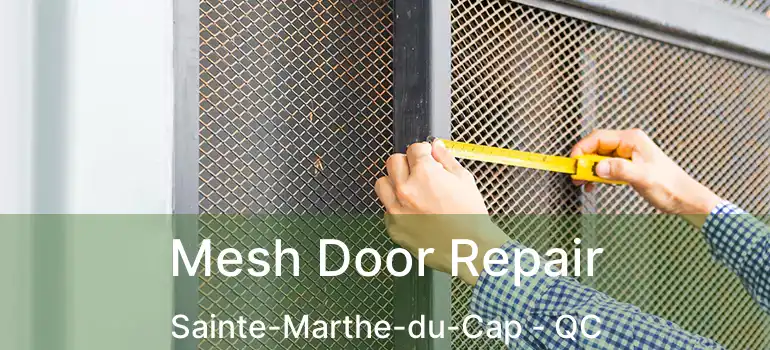  Mesh Door Repair Sainte-Marthe-du-Cap - QC