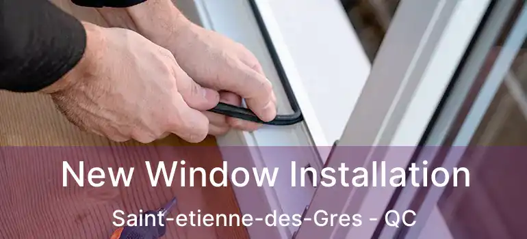  New Window Installation Saint-etienne-des-Gres - QC