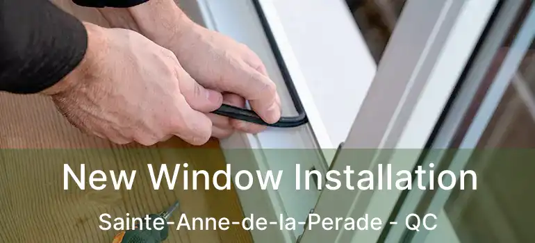  New Window Installation Sainte-Anne-de-la-Perade - QC