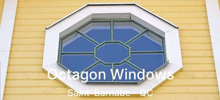  Octagon Windows Saint-Barnabe - QC