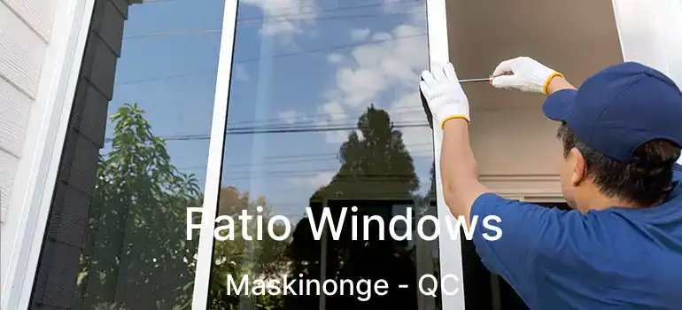  Patio Windows Maskinonge - QC