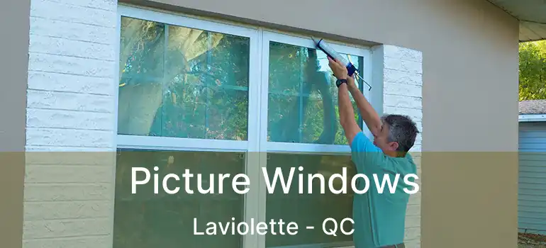  Picture Windows Laviolette - QC