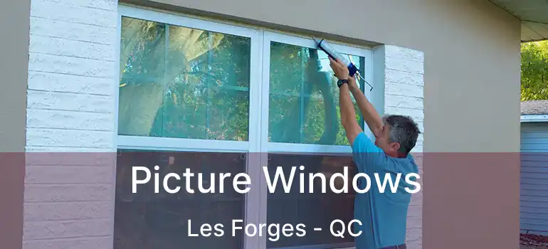  Picture Windows Les Forges - QC