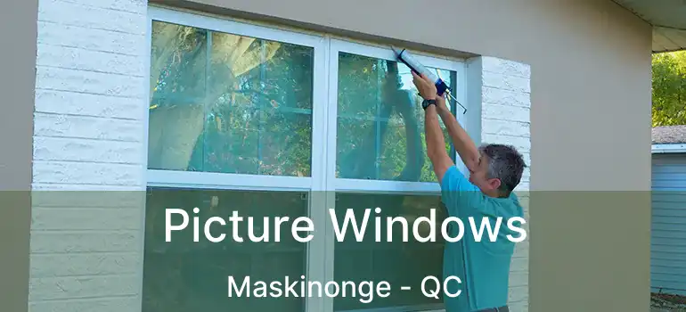  Picture Windows Maskinonge - QC