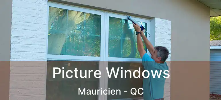  Picture Windows Mauricien - QC