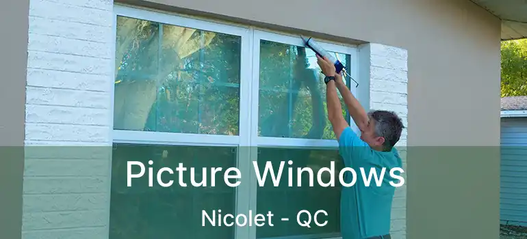  Picture Windows Nicolet - QC