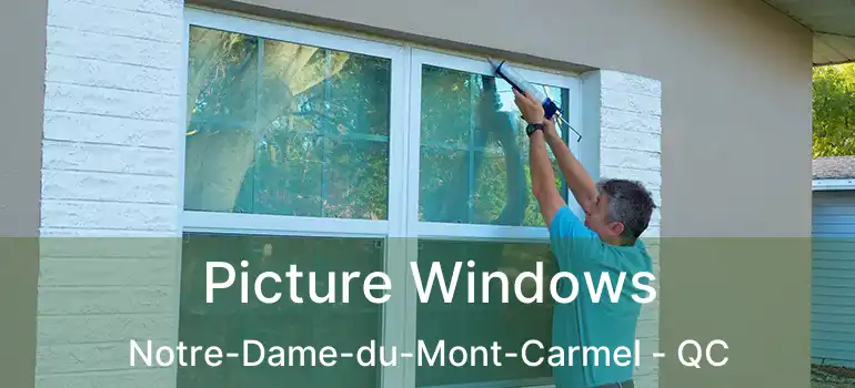  Picture Windows Notre-Dame-du-Mont-Carmel - QC