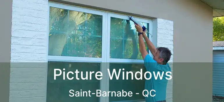  Picture Windows Saint-Barnabe - QC