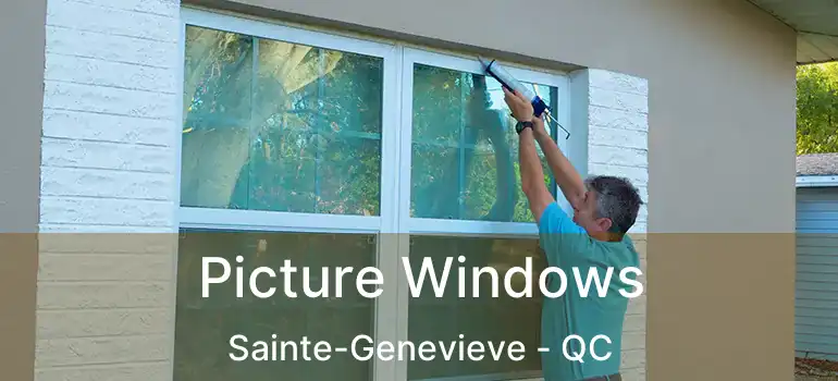  Picture Windows Sainte-Genevieve - QC