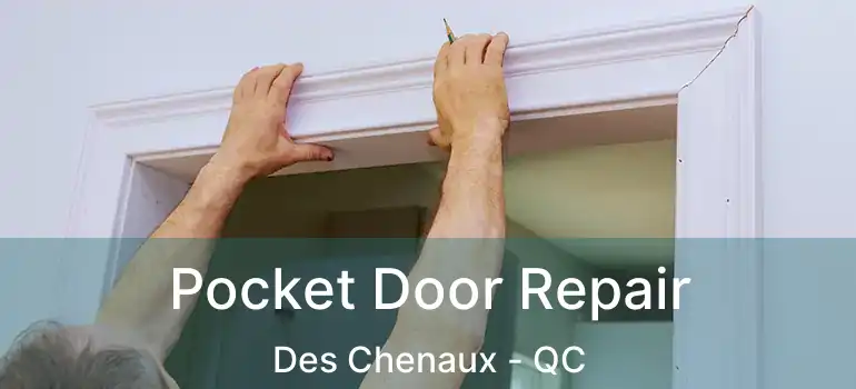  Pocket Door Repair Des Chenaux - QC
