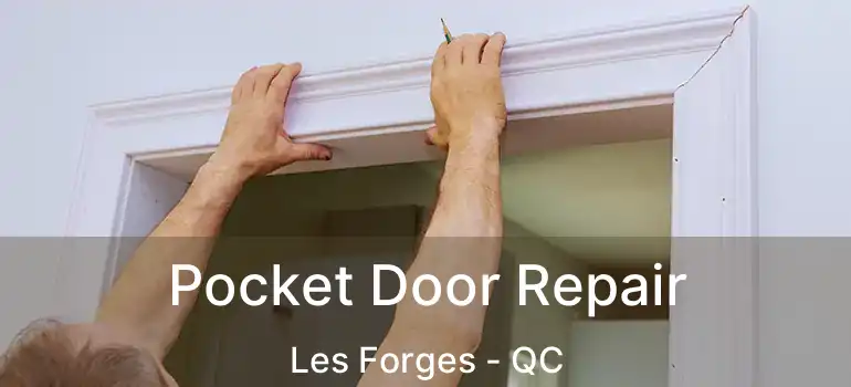  Pocket Door Repair Les Forges - QC